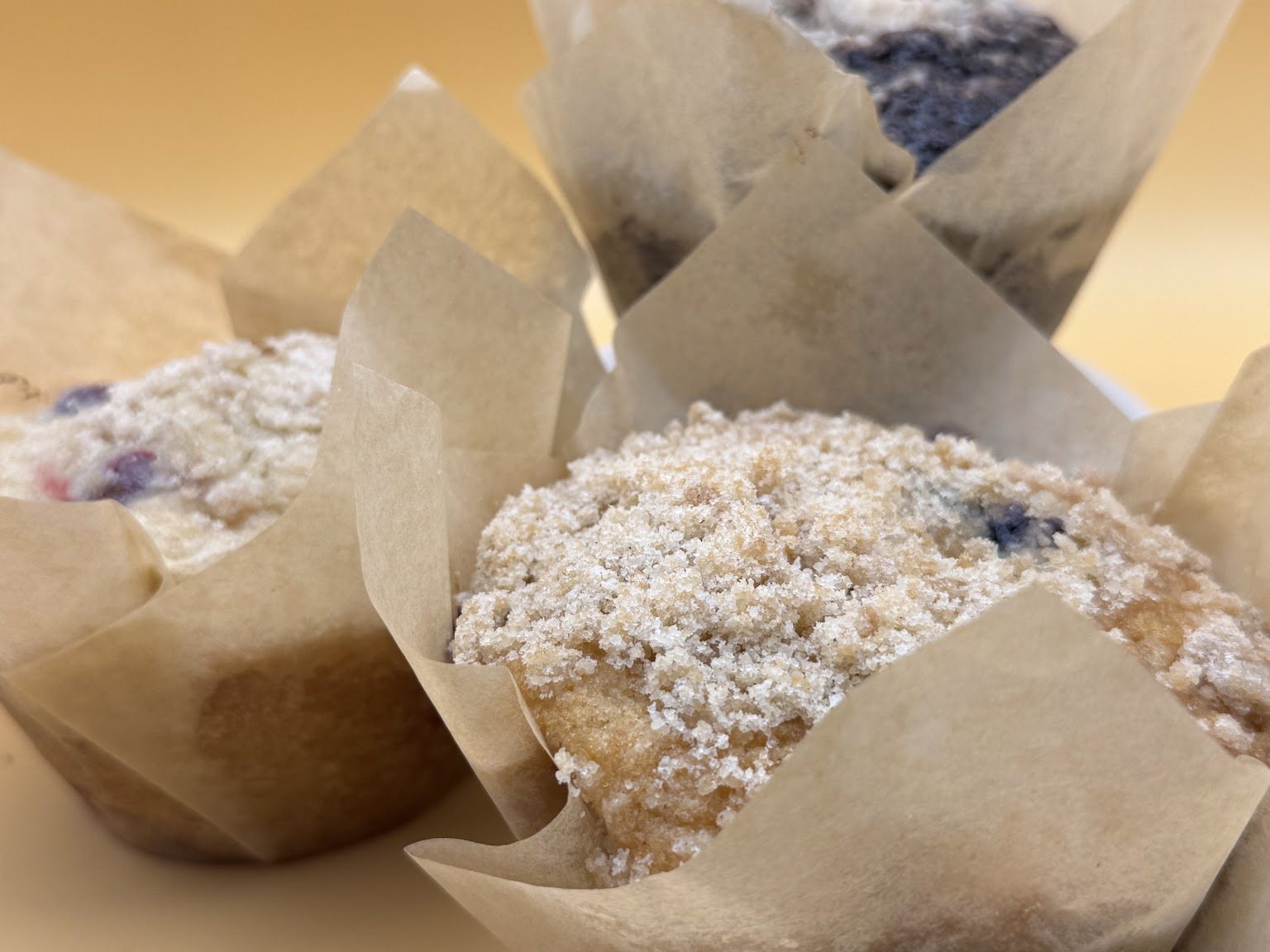 Fresh blueberry muffins
